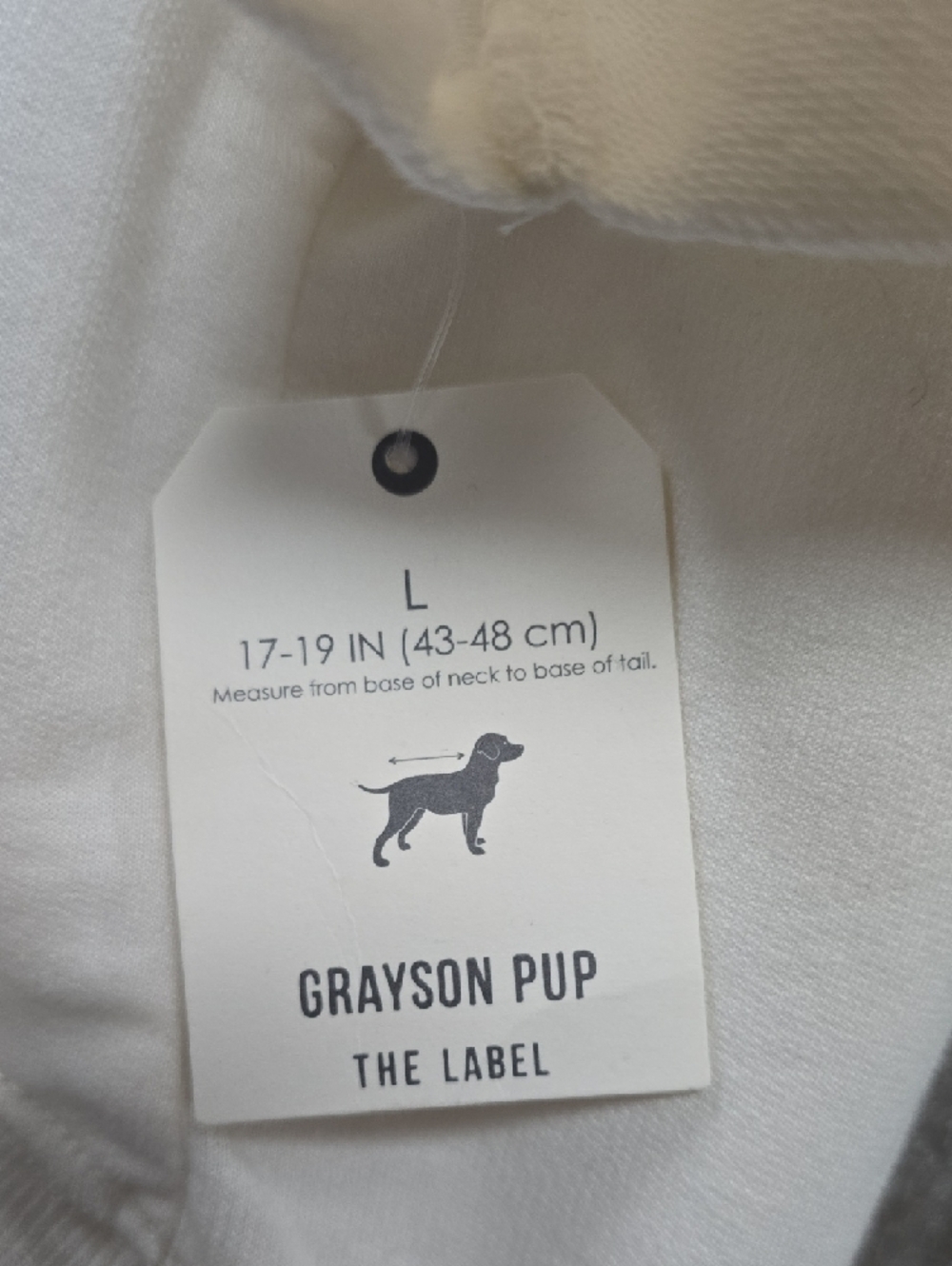 Cream "Roommate of the Year" Dog Sweatshirt - Casual Crewneck | Large - Picture 5 of 8